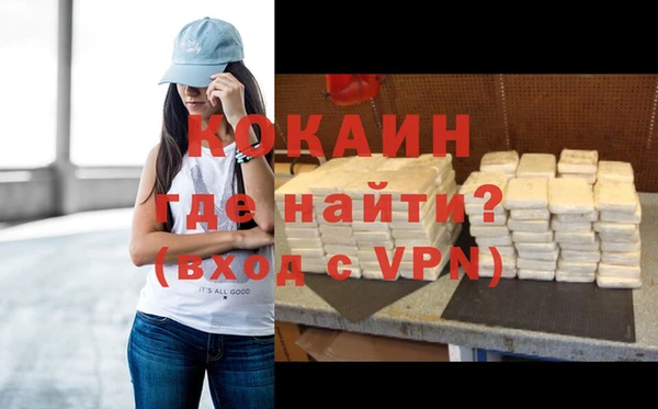 индика Белокуриха