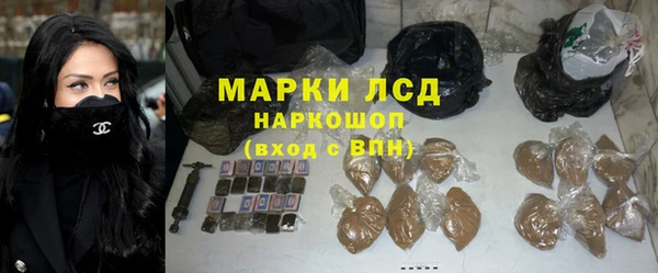 индика Белокуриха
