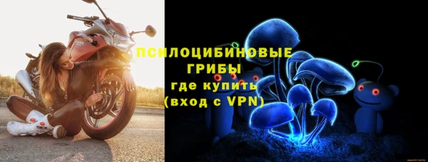 индика Белокуриха