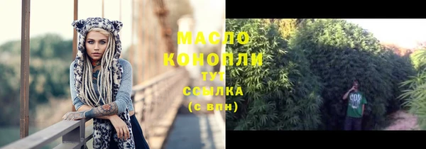 индика Белокуриха