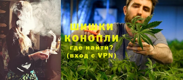 индика Белокуриха
