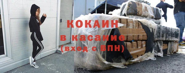 индика Белокуриха
